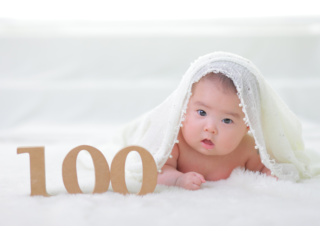 百日撮影　100日撮影