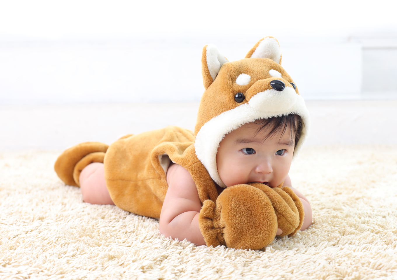 百日　100日撮影　着ぐるみ